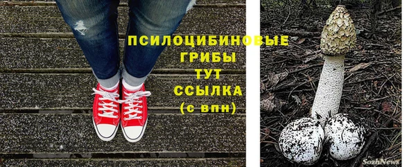 прущая мука Нягань